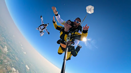 Personnes sautant en parachute sous un ciel dégagé
